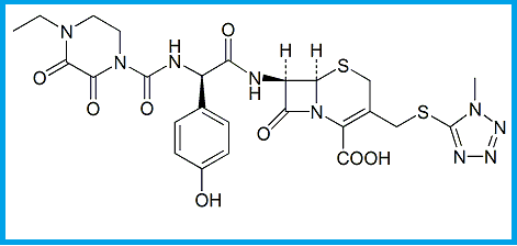 CEFOPERAZONE ACID 